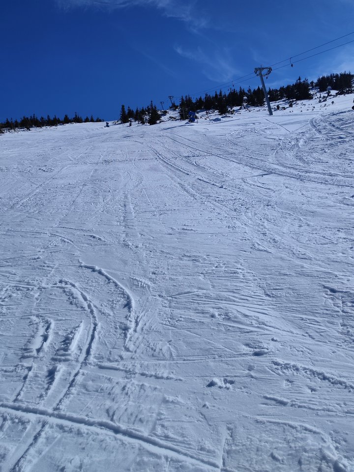 1000024535.jpg - tom6970