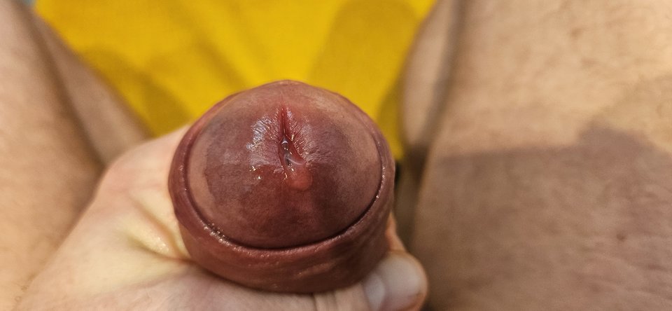 1000075028.jpg - wast79