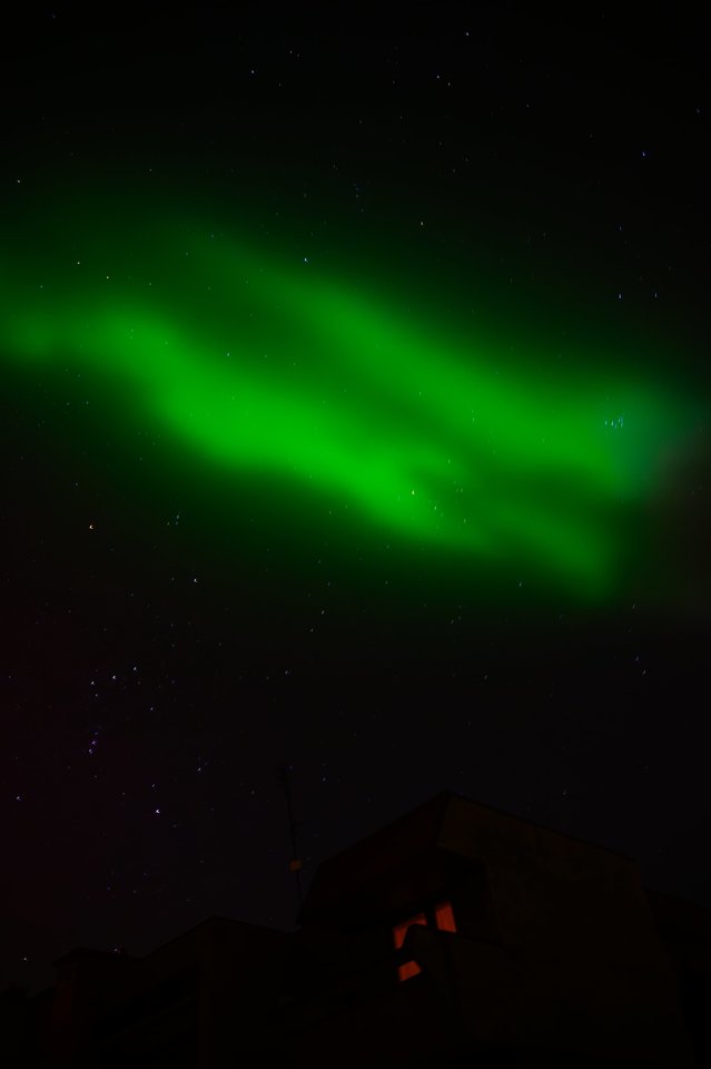 1839.jpg - Kwiatnocy00