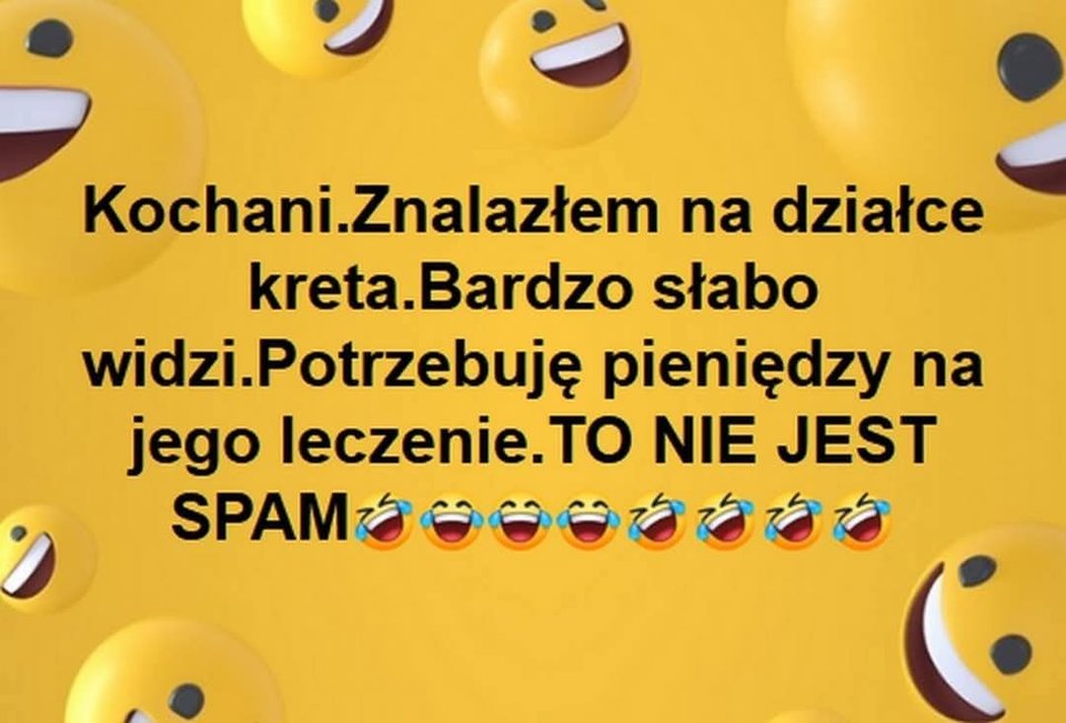 WhatsApp Image 2026-02-25 at 20.22.52.jpeg - Uranos80