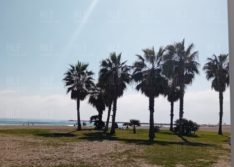 1000015941.jpg - Hile