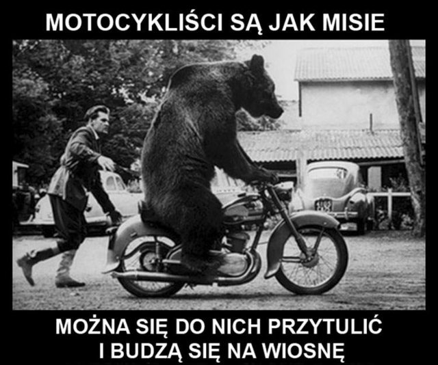 13529.jpg - Zwykly431