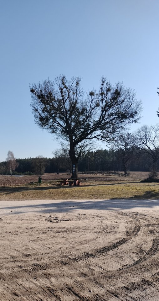 1000036437.jpg - BellaCiao3