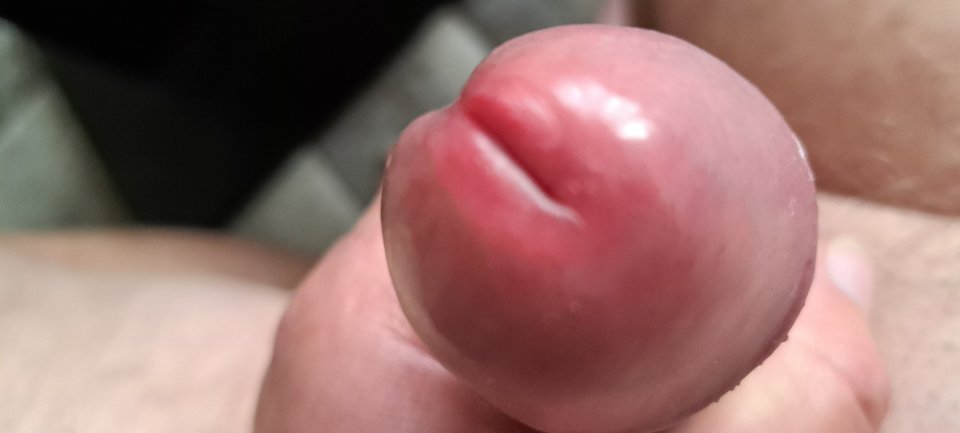 20221030_122156.jpg - Tom779