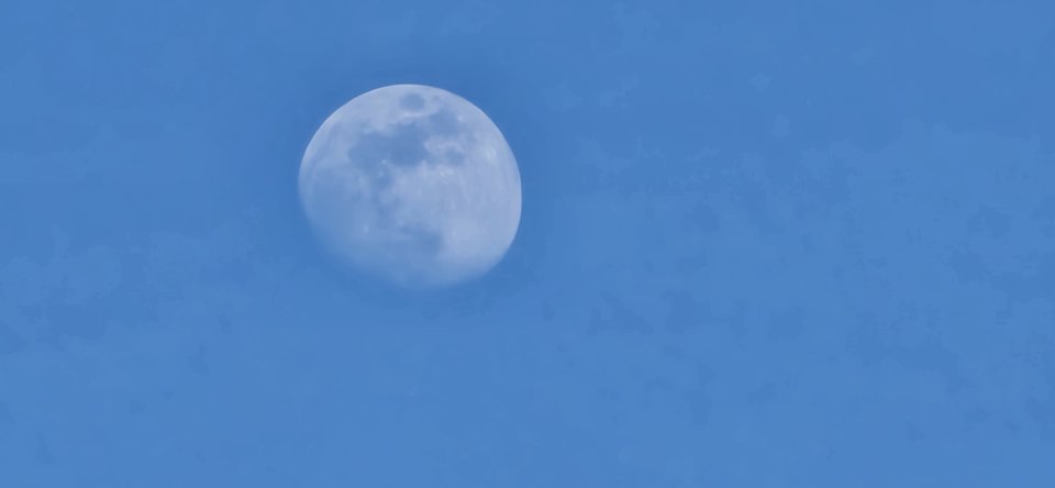 1000001259.jpg - BestX007