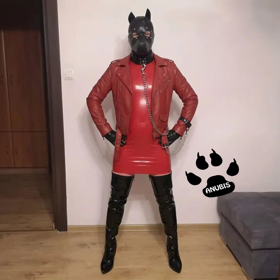 Desktop 2026-02-23 19-51-40-248.jpg - Anubis86PL