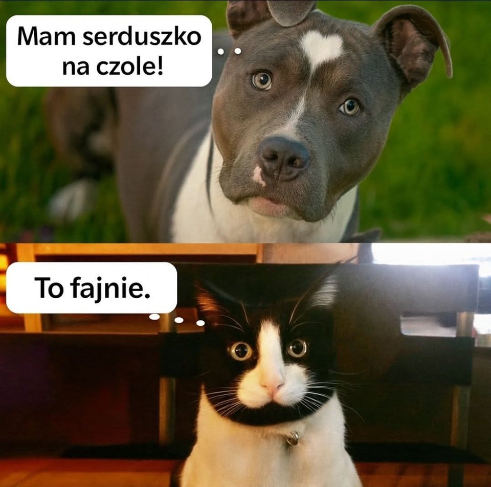 13034.jpg - Falcon96