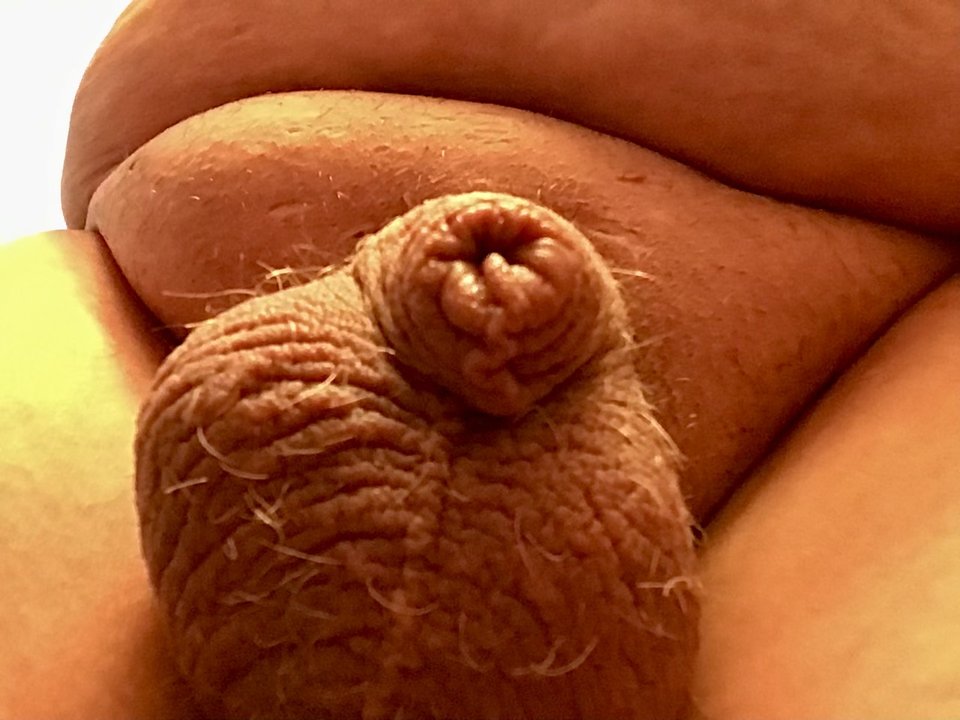 IMG_0809.jpeg - Greypervert