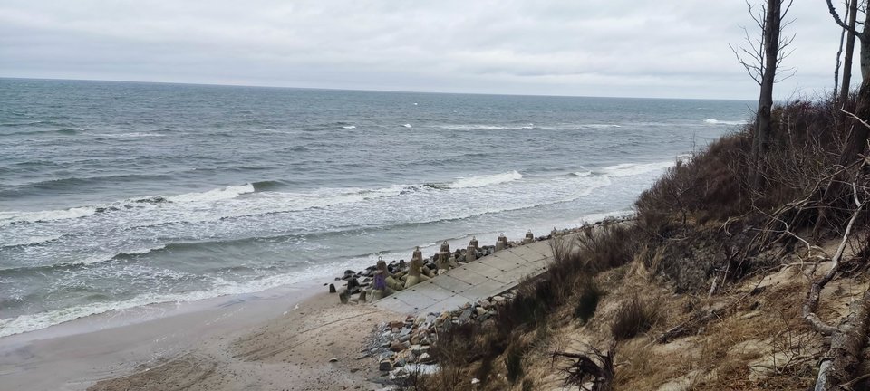 IMG_20260301_095757.jpg - edytkaandrzej