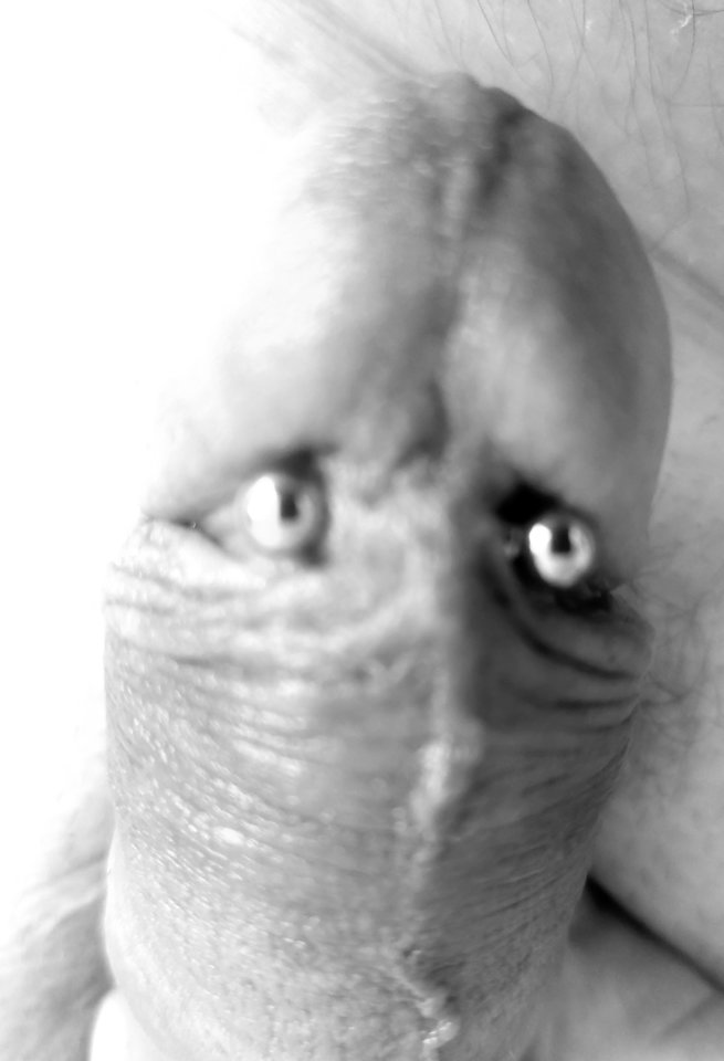 1000040536.jpg - Aszmi36on