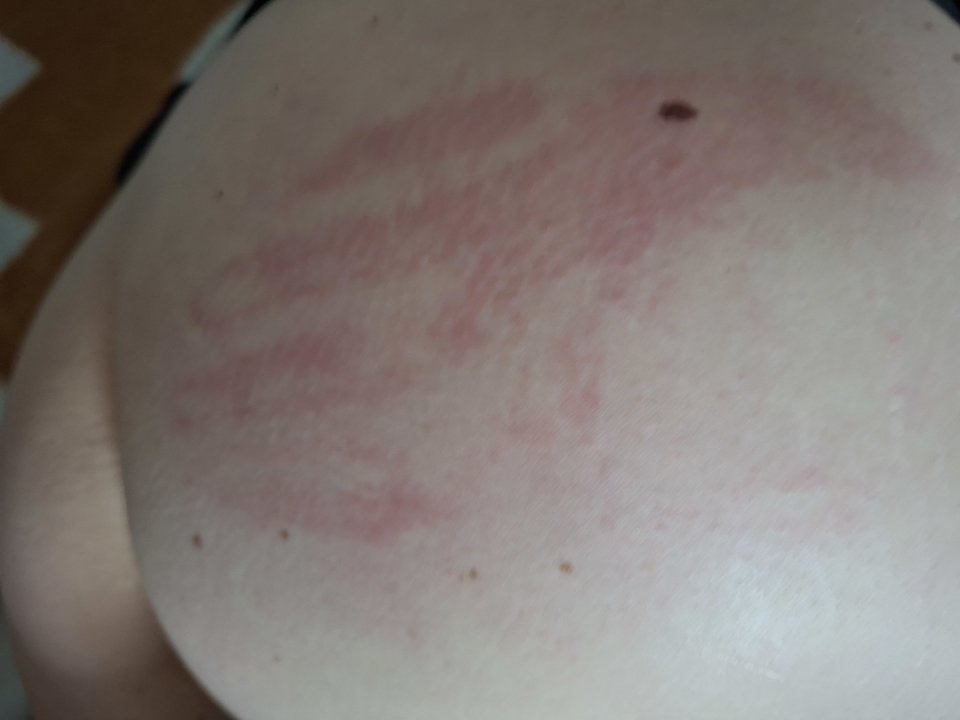20260301_113614.jpg - Para_Par