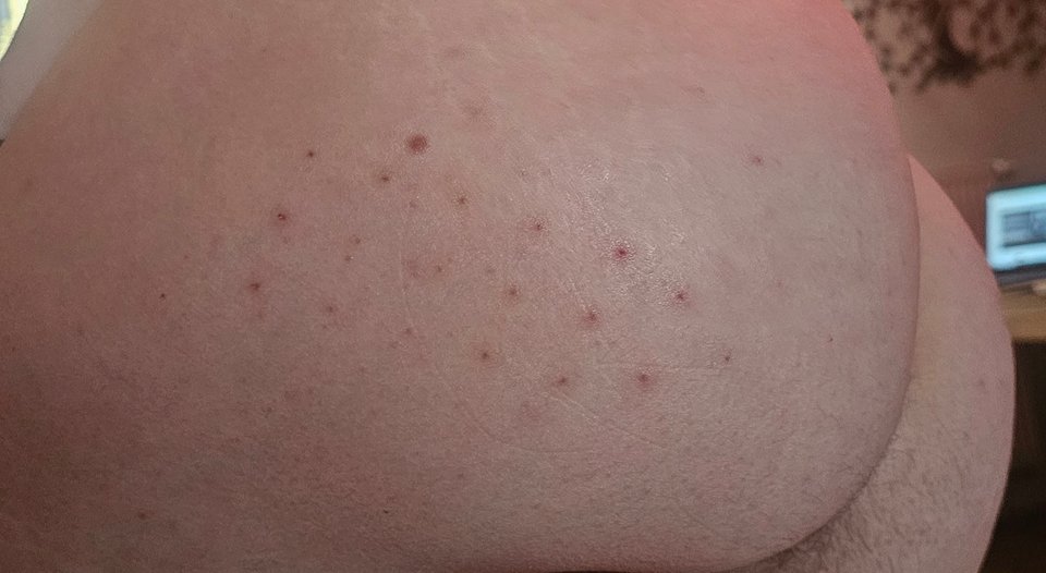 20240226_092953.jpg - Kink_Wink