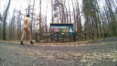 STOLARZOWICE - parking leśny 20260301_1321.mp4_snapshot_00.02_[