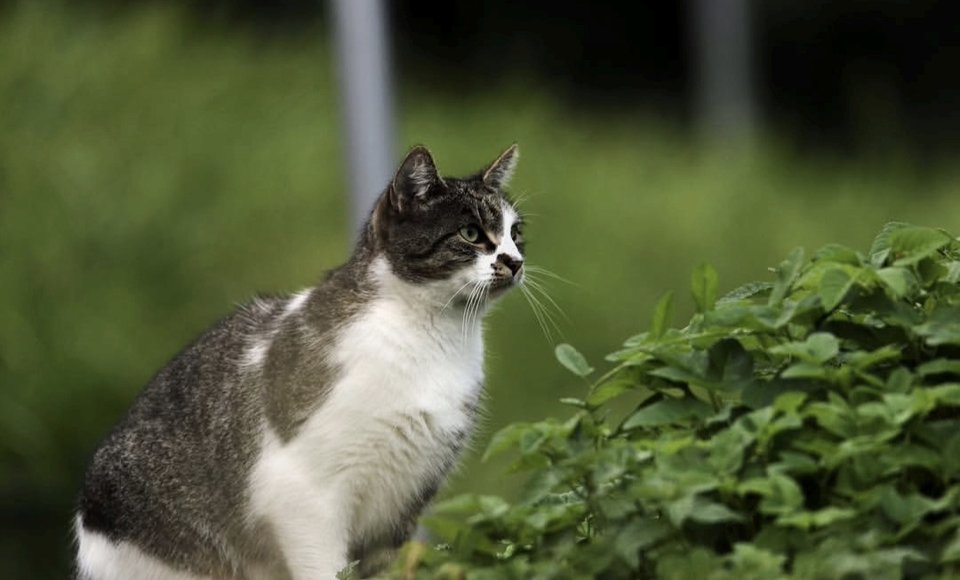 1000030790.jpg - TakijaCT