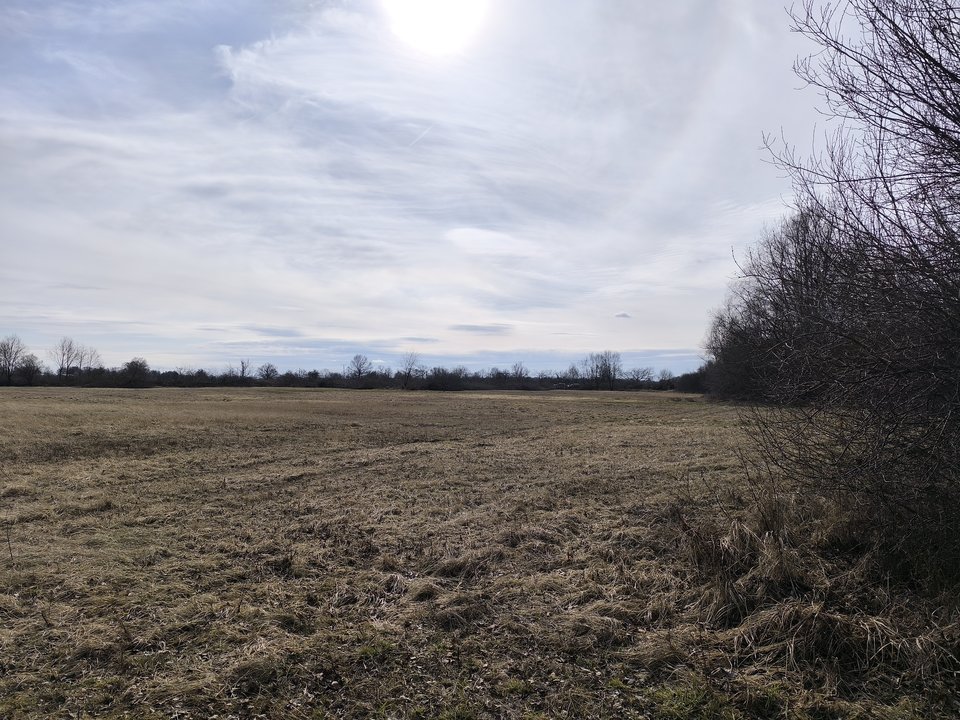 1000001203.jpg - ksiazek73