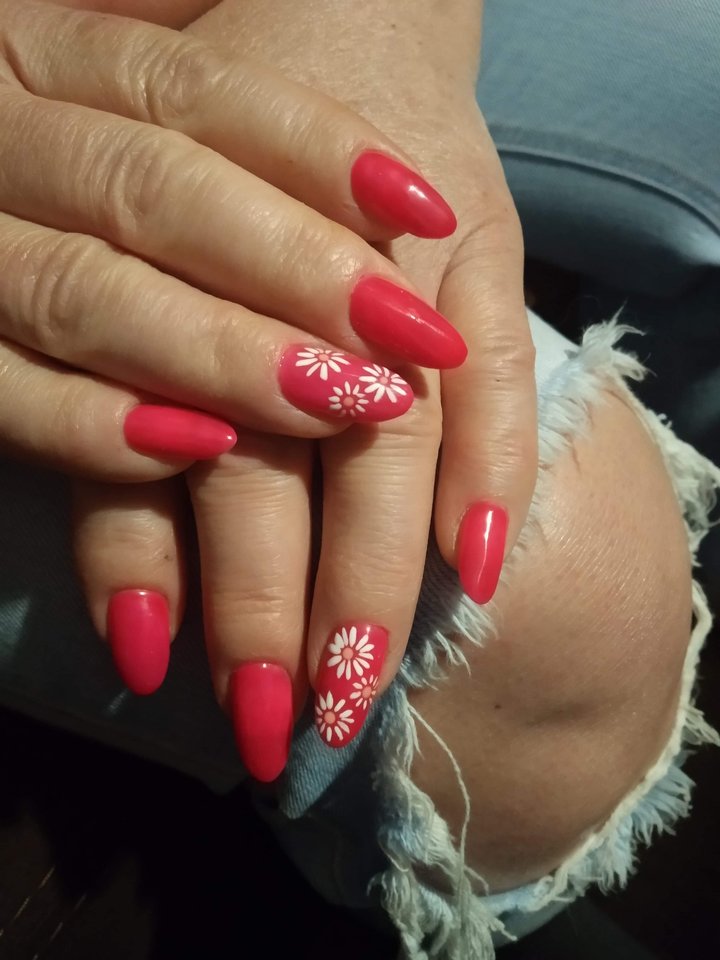 1000017945.jpg - Kolorowyptak1