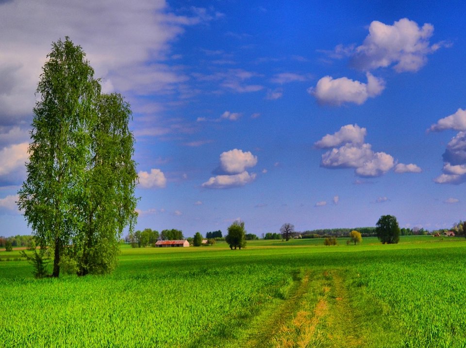 DSC_0011_fhdr.jpg - koniak9