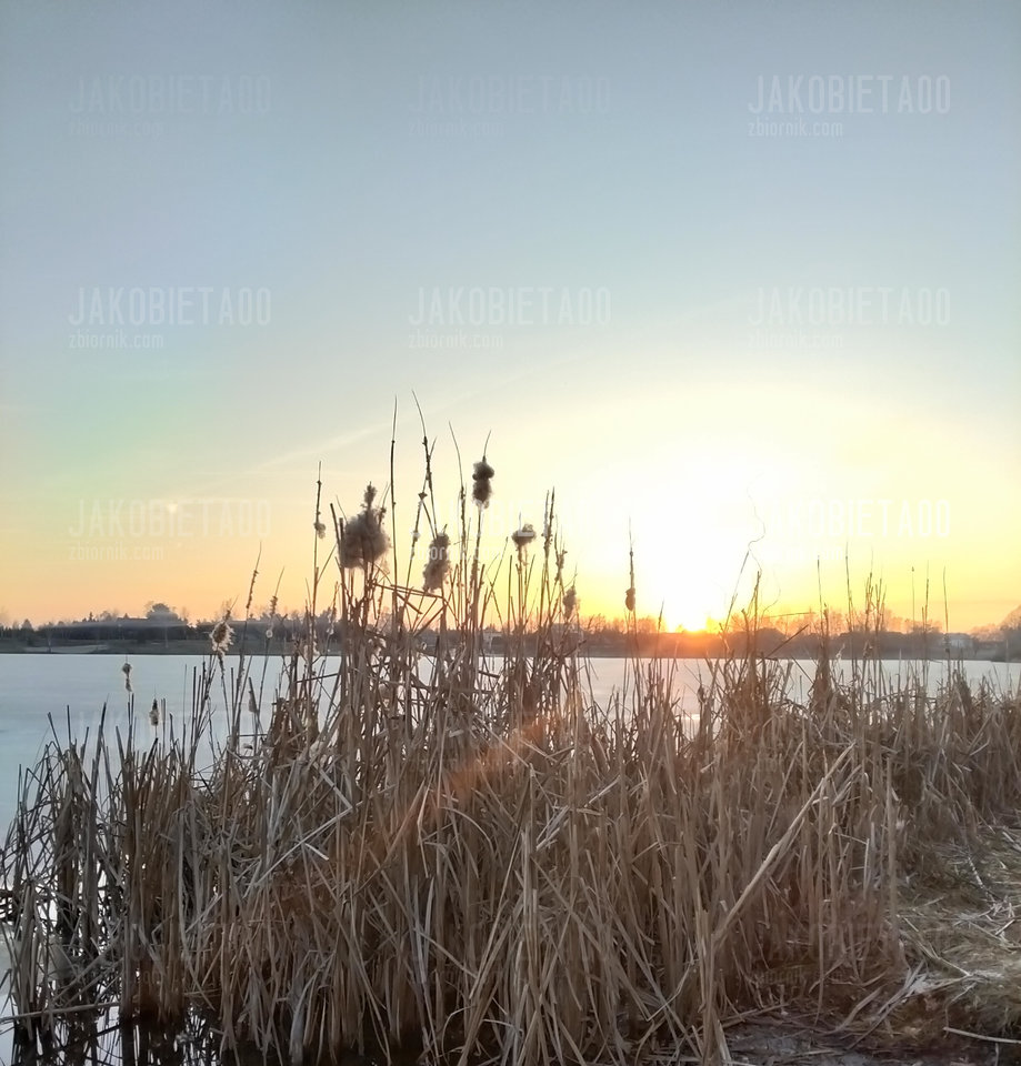 2241.jpg - JaKobieta00