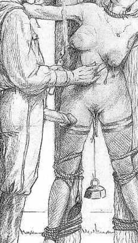 IMG_20260302_172701.jpg - marceliszpak5