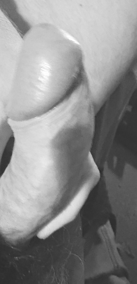 IMG_0545.jpeg - PanTomek71