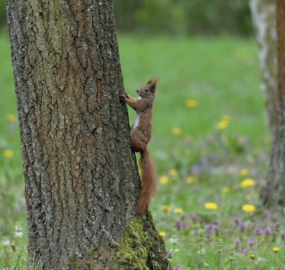 1000030930.jpg - TakijaCT