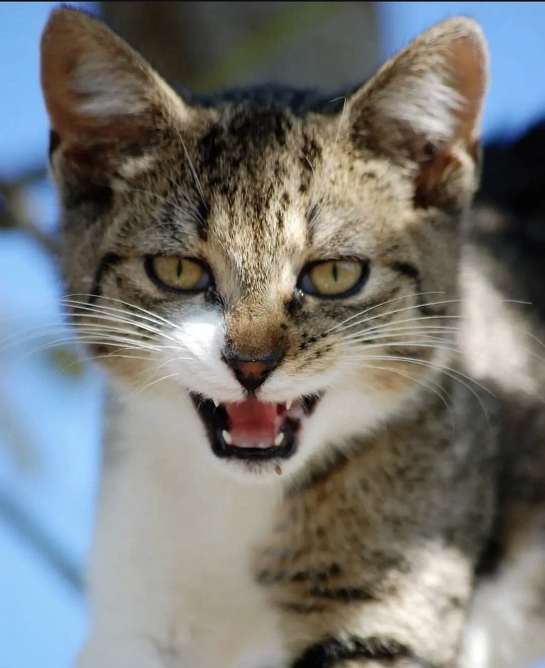 1000030928.jpg - TakijaCT