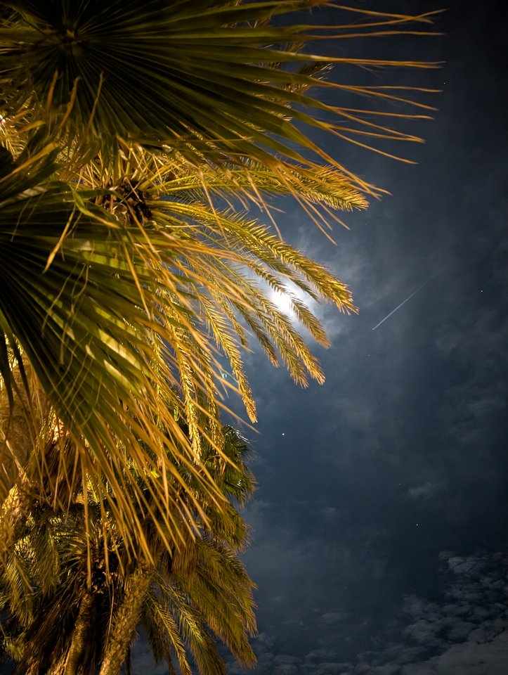 1000016048.jpg - NoxStriker