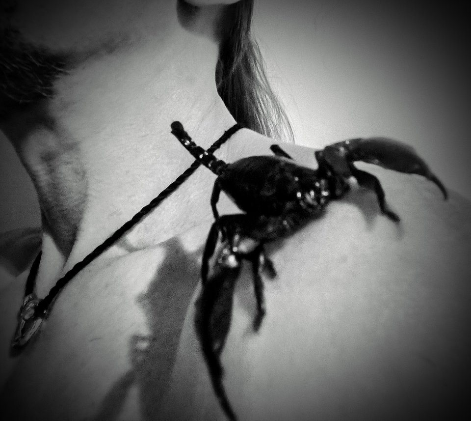 IMG_20251013_140258-EDIT.jpg - Psychotrop666