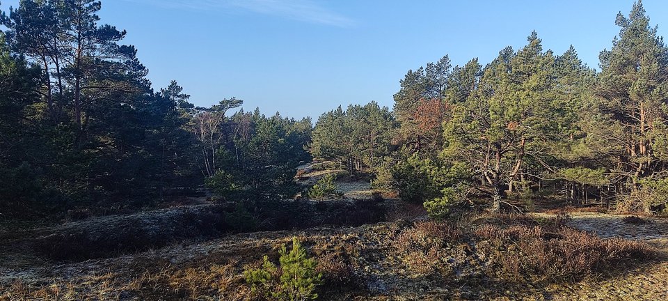 IMG_20260304_075807.jpg - edytkaandrzej