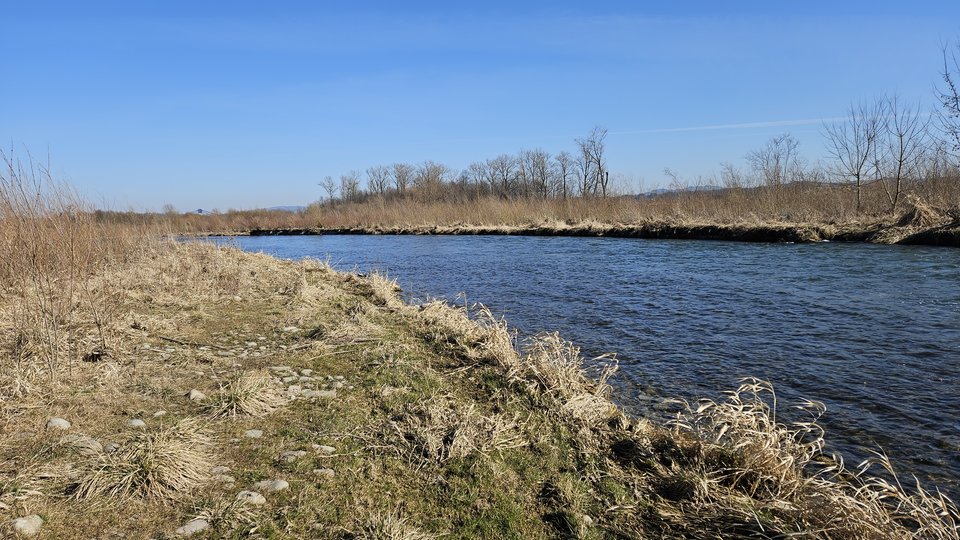 Stadła plaża 28.02.2026 - nowytomas
