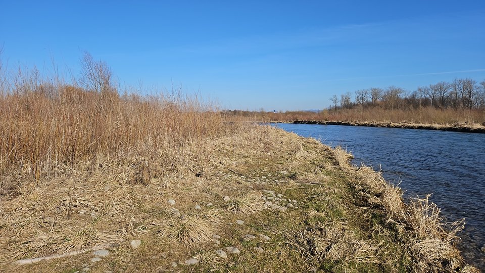 Stadła plaża 28.02.2026 - nowytomas