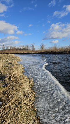 Stadła plaża 3.01.2026