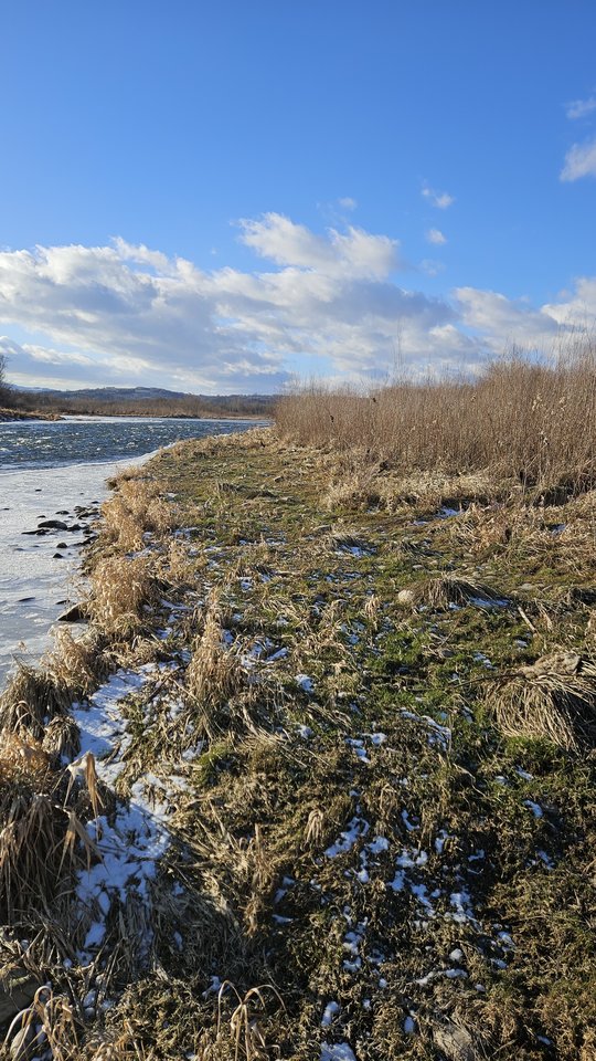 Stadła plaża 3.01.2026 - nowytomas
