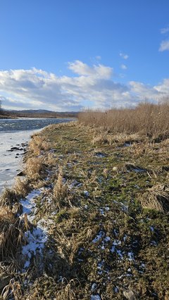 Stadła plaża 3.01.2026