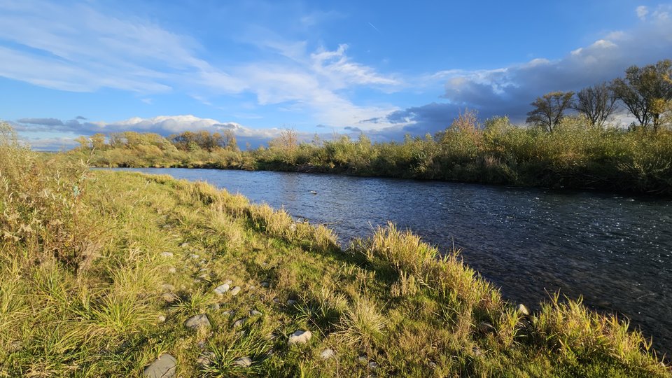 Naga plaża w Stadłach 23.10.2025 - nowytomas