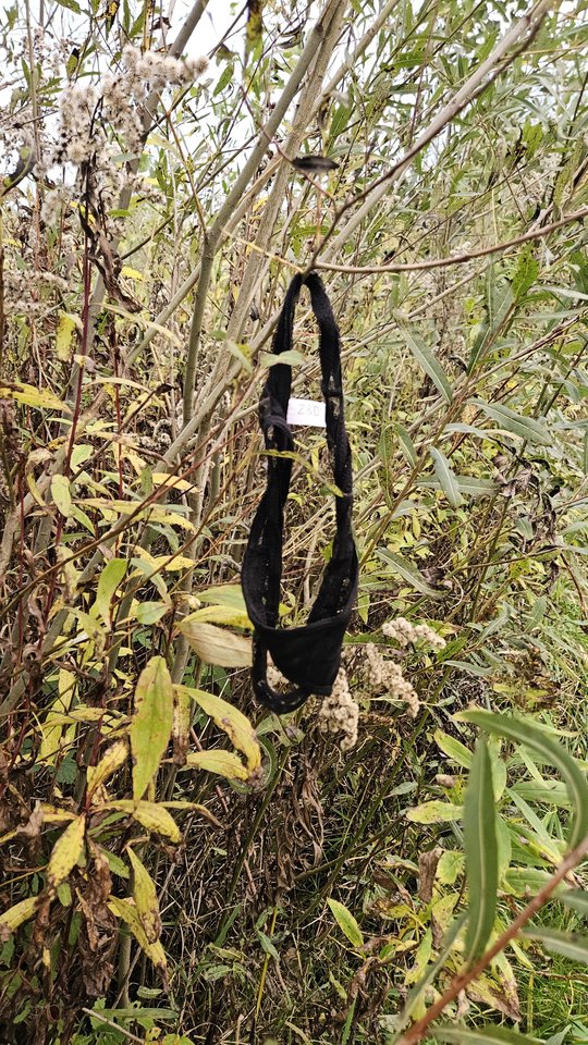 Naga plaża w Stadłach 18.10.2025 - nowytomas