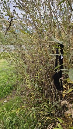 Naga plaża w Stadłach 18.10.2025