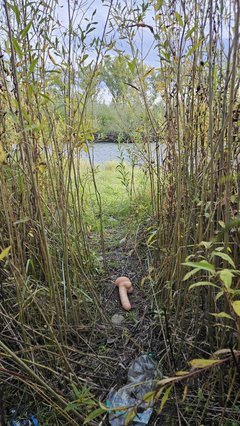 Naga plaża w Stadłach 13.10.2025