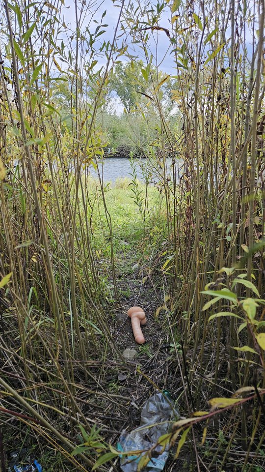 Naga plaża w Stadłach 13.10.2025 - nowytomas