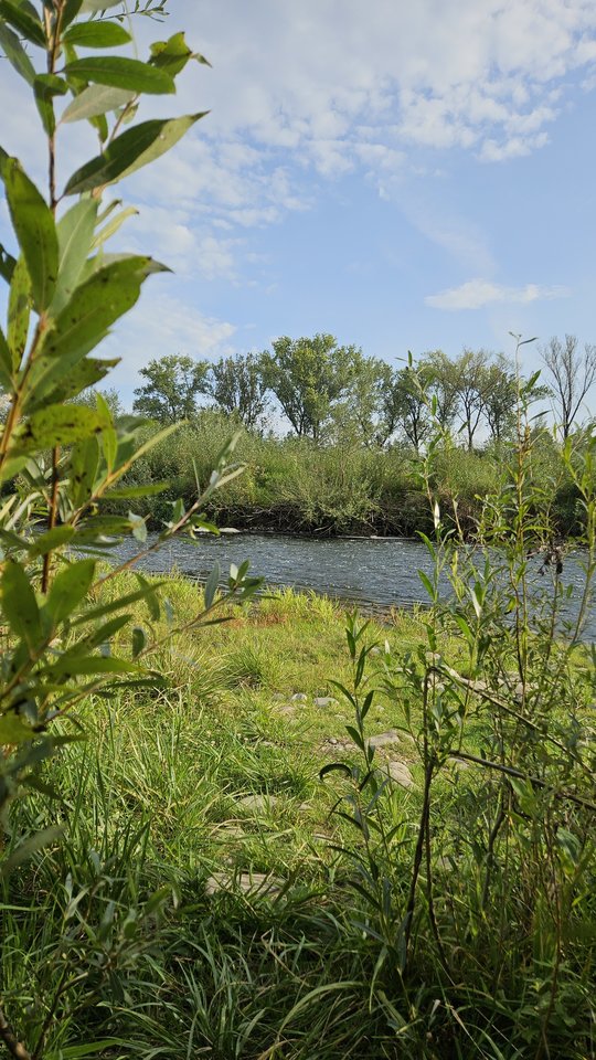 Naga plaża w Stadłach 18.09.2025 - nowytomas