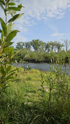 Naga plaża w Stadłach 18.09.2025
