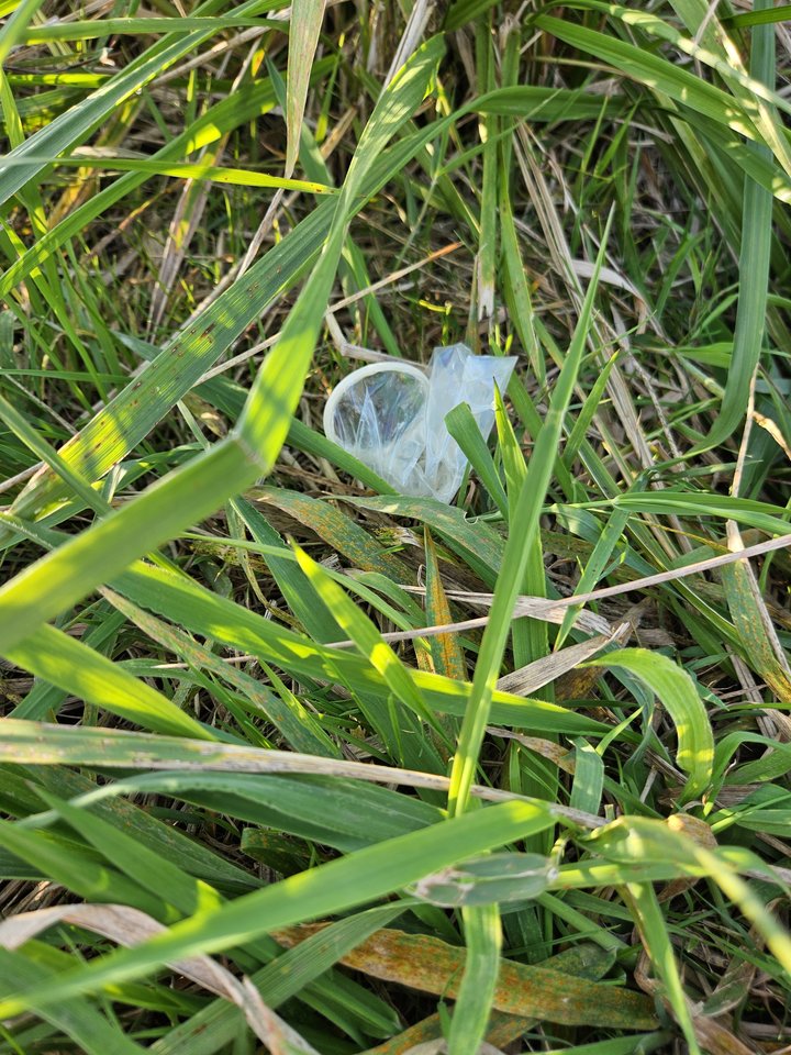 Naga plaża w Stadłach 22.09.2024 - nowytomas