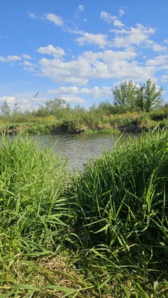Naga plaża w Stadłach 26.08.2025