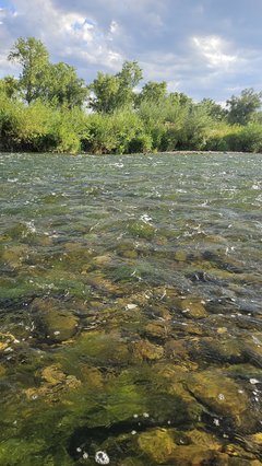 Naga plaża w Stadłach 20.08.2025
