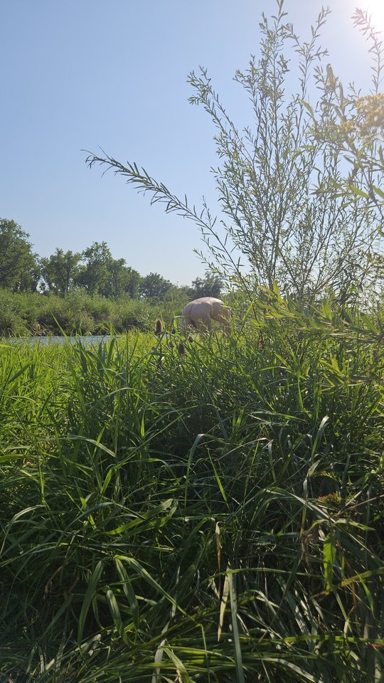 Naga plaża w Stadłach 14.08.2025 - nowytomas