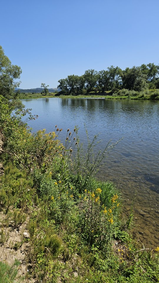 Naga plaża w Stadłach 13.08.2025 - nowytomas