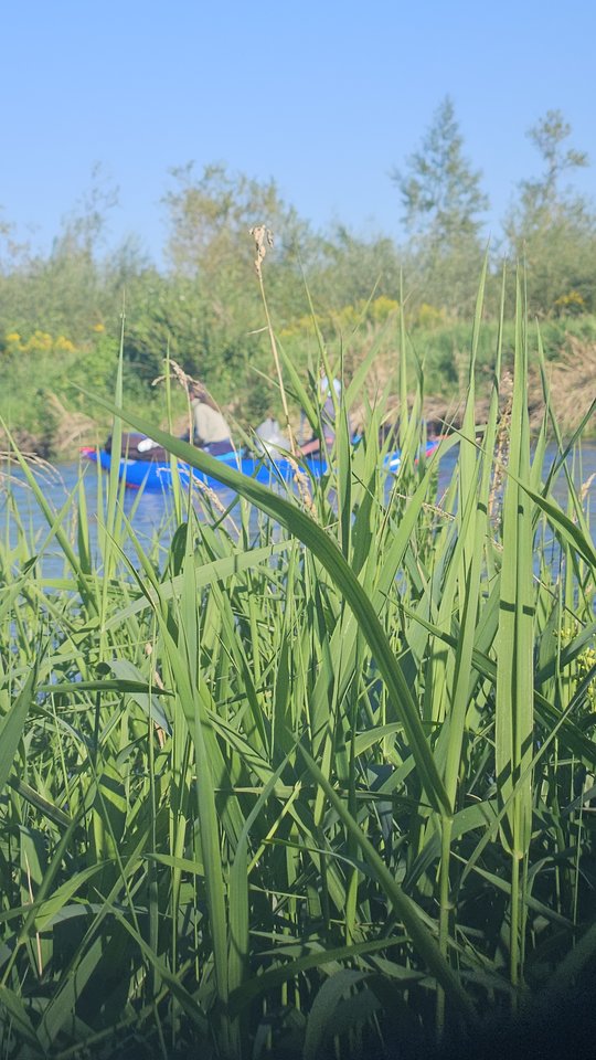 Naga plaża w Stadłach 12.08.2025 - nowytomas