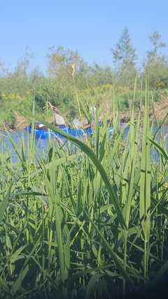 Naga plaża w Stadłach 12.08.2025