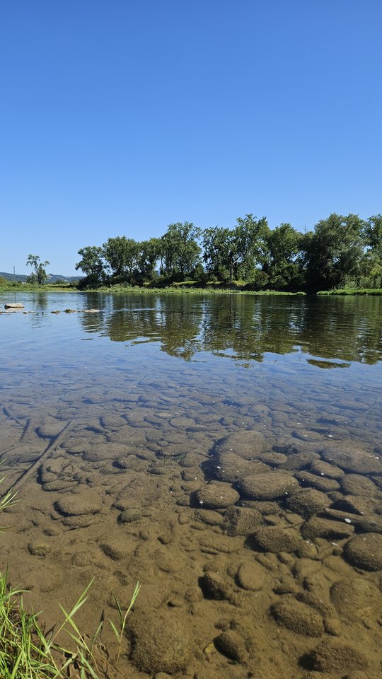 Naga plaża w Stadłach 11.08.2025 - nowytomas