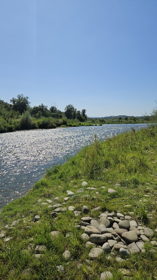 Naga plaża w Stadłach 11.08.2025 - nowytomas